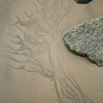 Ветер на песке